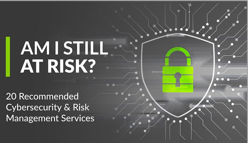 Am I Still At Risk? 20 Recommended Cybersecurity & Risk Management Services